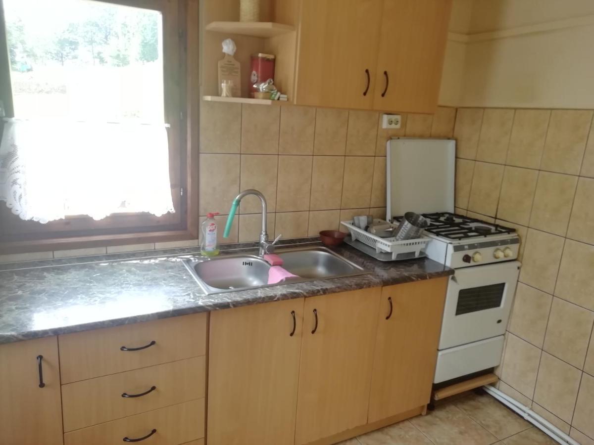 Demeny Vendeghaz Villa Sub Cetate Exterior photo