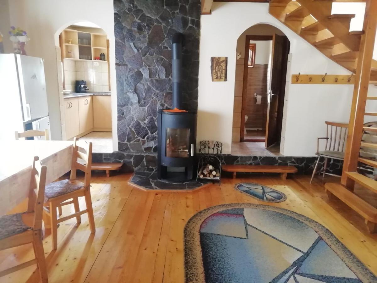 Demeny Vendeghaz Villa Sub Cetate Exterior photo