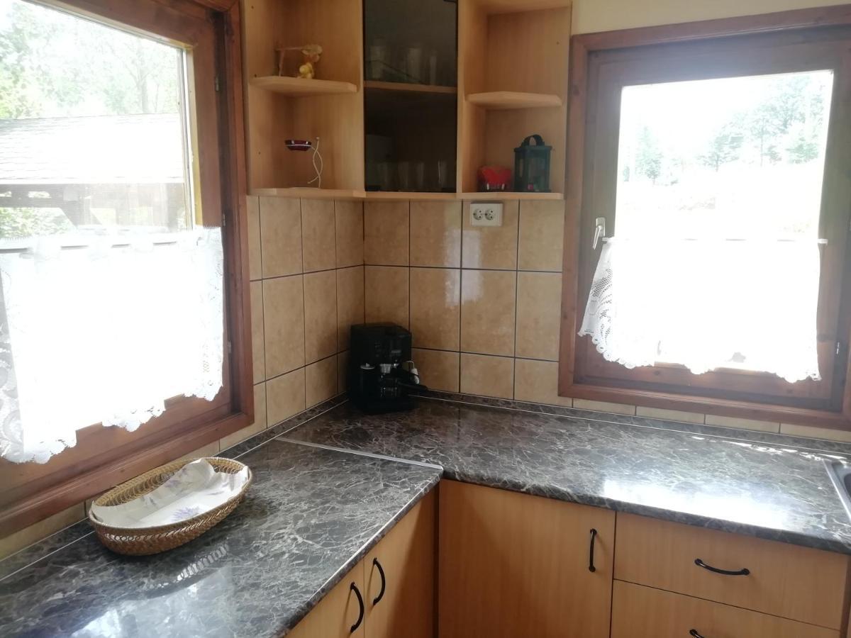 Demeny Vendeghaz Villa Sub Cetate Exterior photo