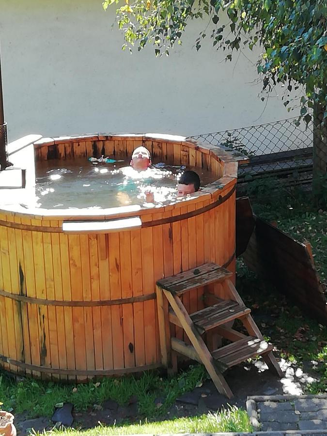 Demeny Vendeghaz Villa Sub Cetate Exterior photo